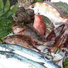 瀬戸内海鮮料理 いけす道楽 2