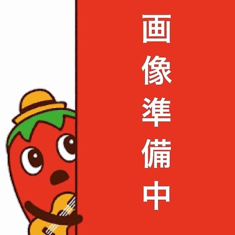 Ourschestra ウルスケストラ