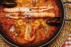 アロセリア サルイアモール 2