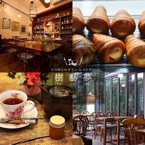 カフェレストラン樹藝夢