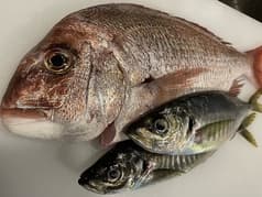 酒と炭焼 きんべゑ 2