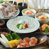 ふぐよし総本店 桜木町 3