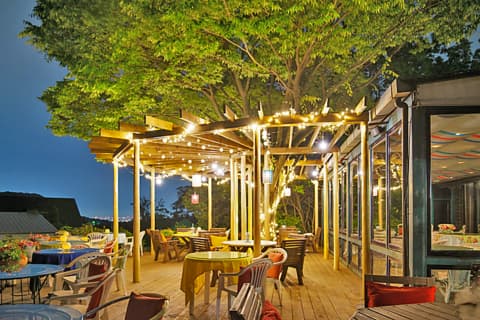 THE TERRACE ザ テラス