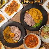 分子栄養学キッチン カレーライフバランス 3