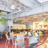 WPU CAFE ダブルピーユーカフェ 3