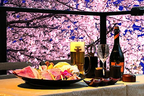 京 黒桜 京都河原町