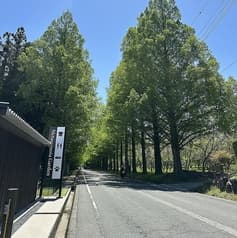 メタセコイアGARDEN 2