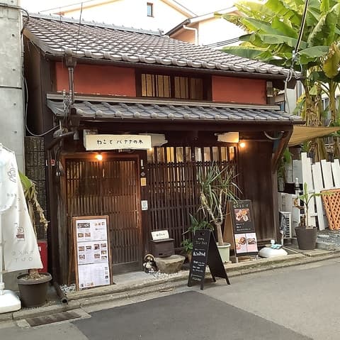 ねことバナナの木