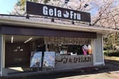 GelaFru ジェラフル 万博記念公園店 3