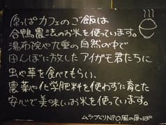 原っぱカフェ 2