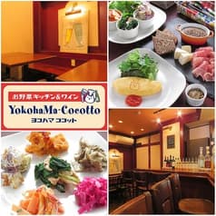 ヨコハマココット YokohaMa Cocotto 2