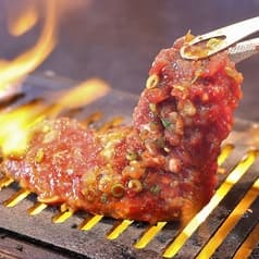 たれ焼肉 たつみ 2