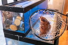 肉バル トビスケ 錦糸町本店 2