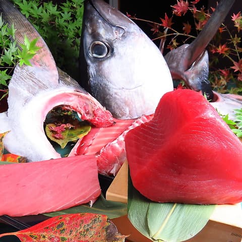 郷彩 根っこ 熊本