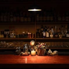 Mimosa Pudica ミモザプディカ 2