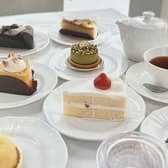 ヒルトンプラザ ベンジャミーナ 3