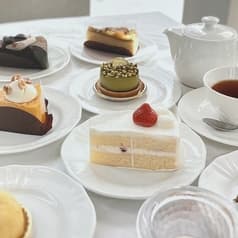 ヒルトンプラザ ベンジャミーナ 2