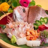 魚菜 基 motoshi モトシ 3