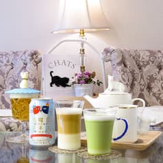 保護猫カフェ CAT LIVING キャットリビング 2