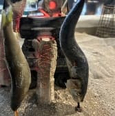 炉端居酒屋SEN セン 3