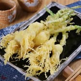 居酒屋 酒 肴 菜 友 ひげ天 3