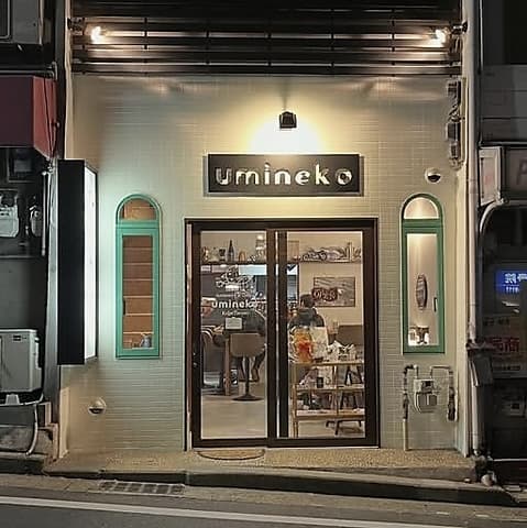 umineko ウミネコ