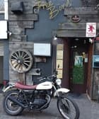 FREE BIRD フリーバード 3