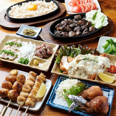 宮崎地鶏 ひなた