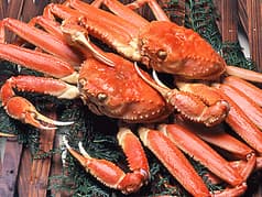 札幌かに本家 金山店 2