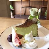 Cafe TREE FROG カフェ ツリーフロッグ 3