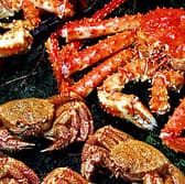 札幌かに本家 栄中央店 3