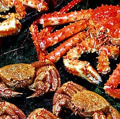 札幌かに本家 栄中央店 2