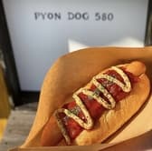 PYON DOG 580 3