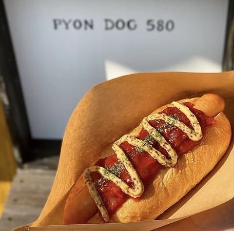 PYON DOG 580