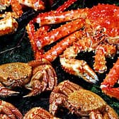 札幌かに本家 仙台店 3