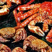 札幌かに本家 豊田城店 3