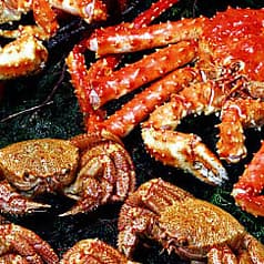 札幌かに本家 豊田城店 2