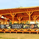 やすらぎガーデン2025（ミズベリング新潟 やすらぎ堤右岸) 3