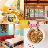 HAKONE PICNIC ハコネ ピクニック 3