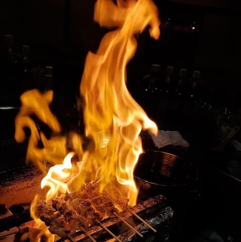 焼鳥 翼 松山空港通り