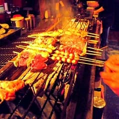 日比谷 鳥こまち 中津 2