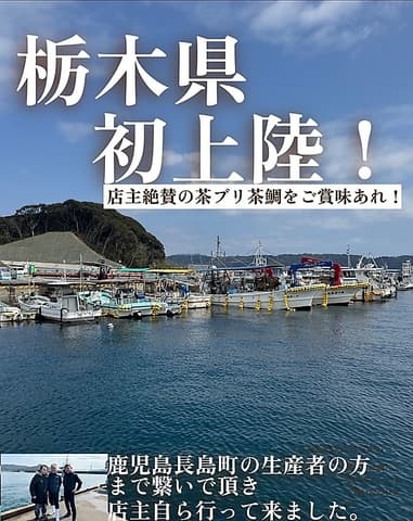 和食ダイニング かもめ