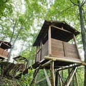 ツリーハウスレストラン 3