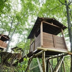 ツリーハウスレストラン 2