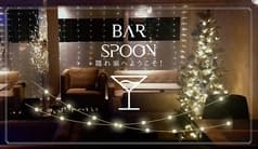Bar Spoon 2