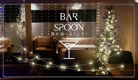 Bar Spoon
