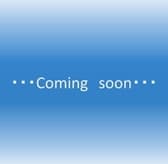 おきなわ家「東風平」 3