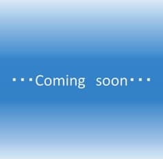 おきなわ家「東風平」 2