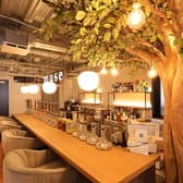 muse ミューズ 下北沢店 3