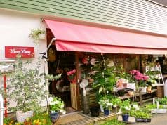 Ylang Ylang イランイラン 2